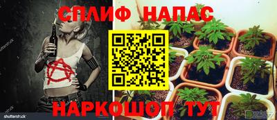 стаф Краснодар