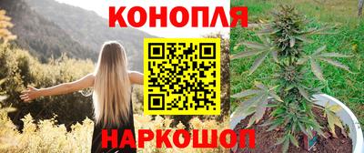 дмт Краснознаменск