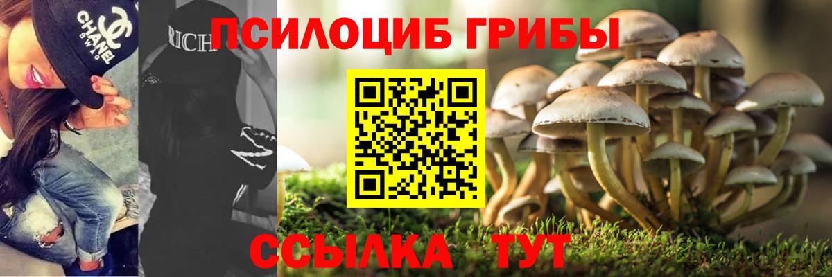 Краснодар  Псилоцибиновые грибы GOLDEN TEACHER  Вход с VPN 
